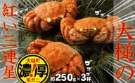 三陸産！活毛ガニセット(250g×3杯(3尾))　天然 国産 冷蔵 三陸 直送 濃厚 かに 蟹 カニ 毛ガニ 毛蟹 毛がに 毛かに 毛カニ ガニ 活かに 活蟹 活カニ かにみそ 贅沢 海鮮 魚介  カニ味噌 かにみそ カニミソ 贅沢