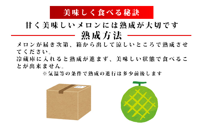 ふらの山部の絶品メロン『鳳凰』3L（2～2.5kg）×2玉（坂口農産）