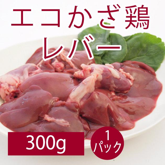 鶏肉 国産 食品 エコかざ鶏　レバー 300g 1パック  送料別