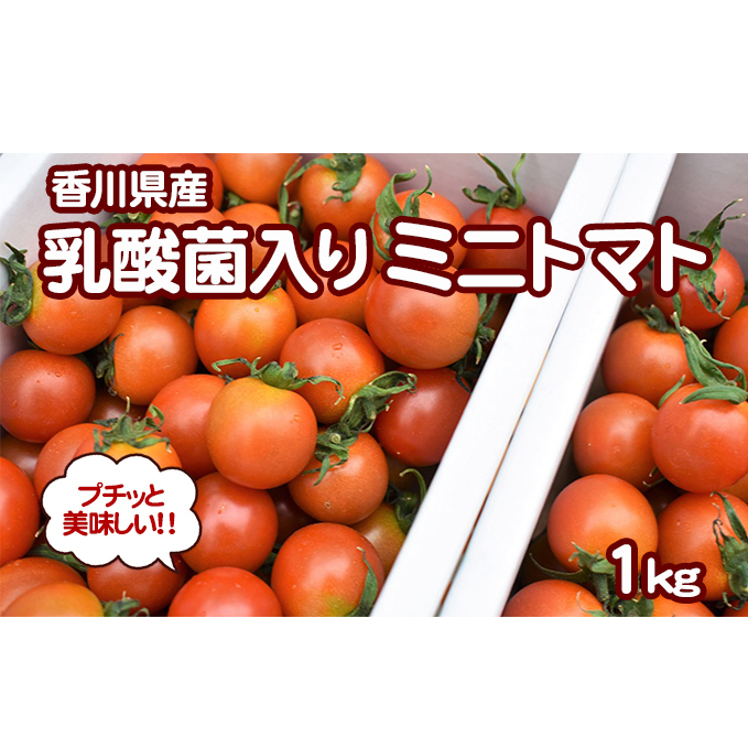 プチッと美味しい！1kg