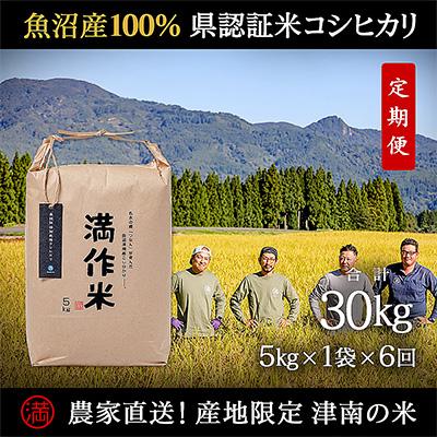 ふるさと納税 津南町 2024年1月発送開始『定期便』農家直送毎月5kg全6回