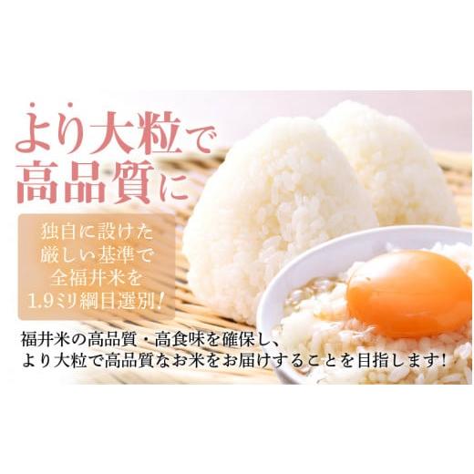 ふるさと納税 福井県 越前町 定期便 ≪3ヶ月連続お届け≫ いちほまれ 10kg × 3回（計30kg）特A通算5回！令和5年 福井県産 [e2…