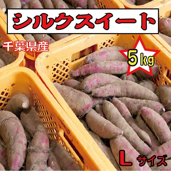 さつまいも 千葉県産 シルクスイート 約5kg Lサイズ土付き