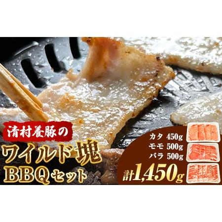 ふるさと納税 ワイルド塊BBQセット 計1450g 清村養豚 《30日以内に順次出荷(土日祝除く)》  熊本県 御船町 豚 肉 冷凍 小分け カタ モモ バラ 熊本県御船町