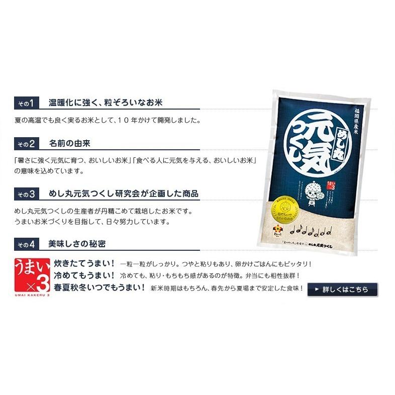 米10kg 元気つくし めし丸 福岡県産 5kg×2 送料無料 無洗米 九州 令和5年産