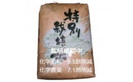 令和5年産「定期便」 特別栽培米・九州のこだわり「にこまる」　玄米10kg（全3回）