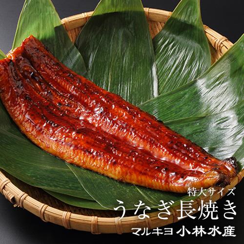 特大サイズ うなぎ長焼き 1尾