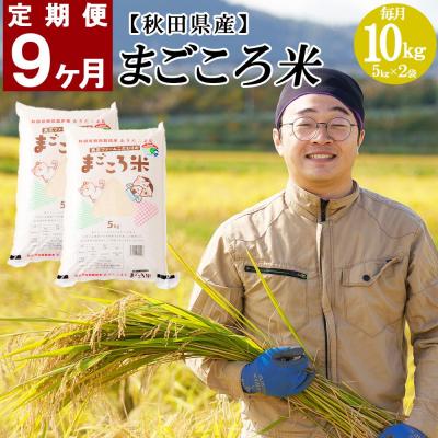 ふるさと納税 大館市 秋田県特別栽培米あきたこまち「まごころ米」10kg