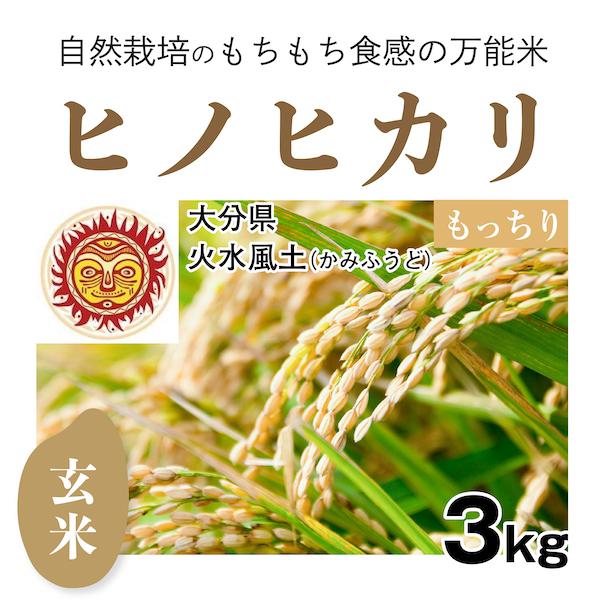 玄米3kg「自然栽培ヒノヒカリ」(大分県)火水風土（かみふうど）　令和5年産