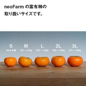 ふるさと納税 岐阜県大野町産　富有柿 L 14個入り 岐阜県大野町