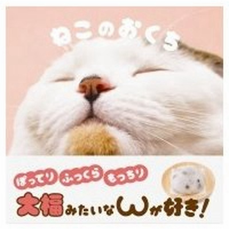 ねこのおくち パイインターナショナル 本 通販 Lineポイント最大0 5 Get Lineショッピング