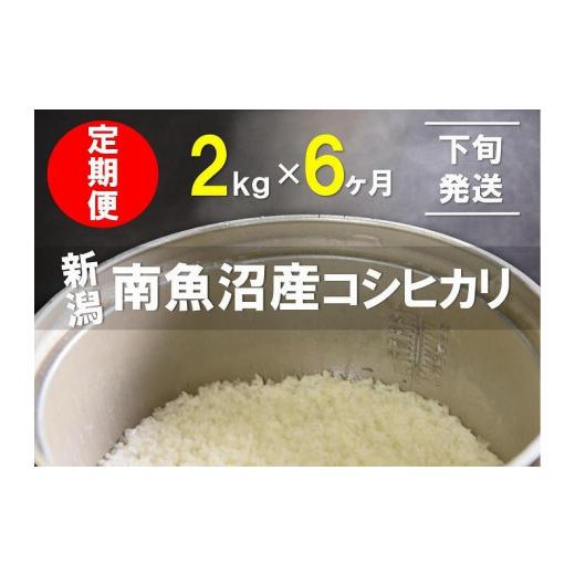 ふるさと納税 新潟県 南魚沼市 2kg×6ヶ月　南魚沼産コシヒカリ