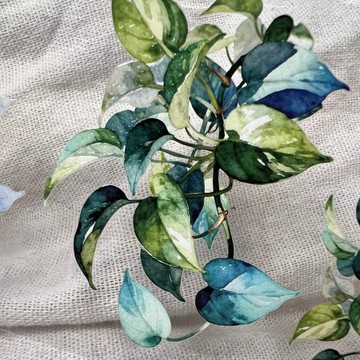 153 繁盛黃金葛 Lush Golden Pothos