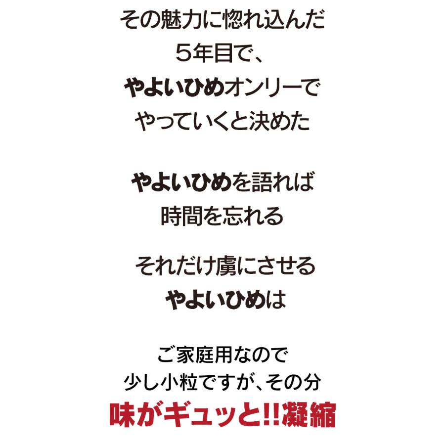 いちご やよいひめ （270g×4パック）イチゴ 苺 送料無料 宮崎産 国産 ご家庭用 ＜12月中旬より出荷予定＞