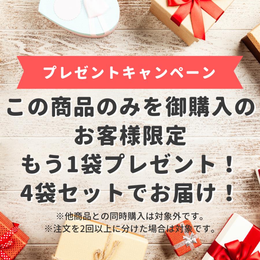 鮭ジャーキー　45ｇ×3個セット   鮭　おつまみ　珍味　鮭とば