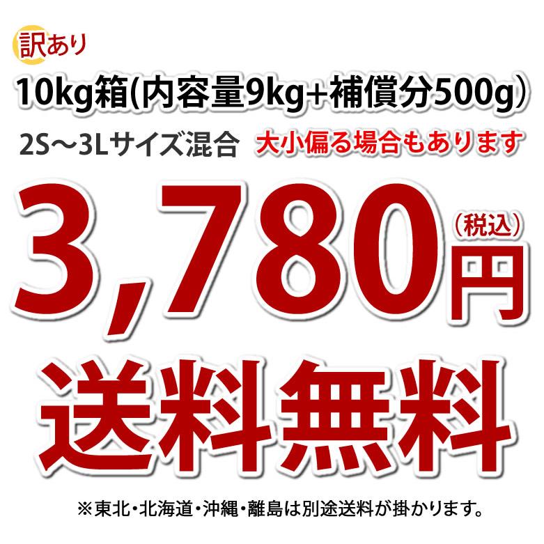 さつまいも シルクスイート 訳あり 10kg 箱込（内容量9kg＋補償分500g)  送料無料 熊本・宮崎県産 サツマイモ 春こがね 紅まさり 焼き芋 芋 いも