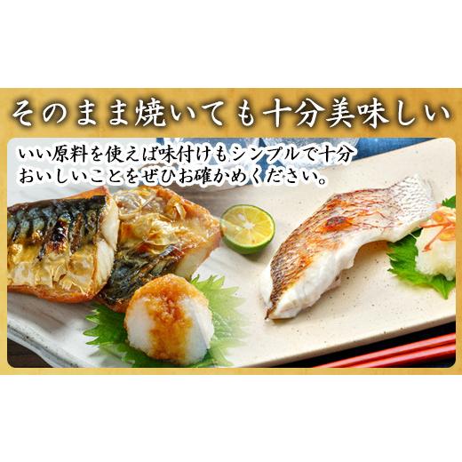 ふるさと納税 佐賀県 唐津市 目利きが選んだごちそう旬魚 7種9枚7切 セット あじ さば ぶり さわら 真鯛 赤むつ 干物 粕漬け しめ鯖 みりん醤油漬け 味噌漬け …