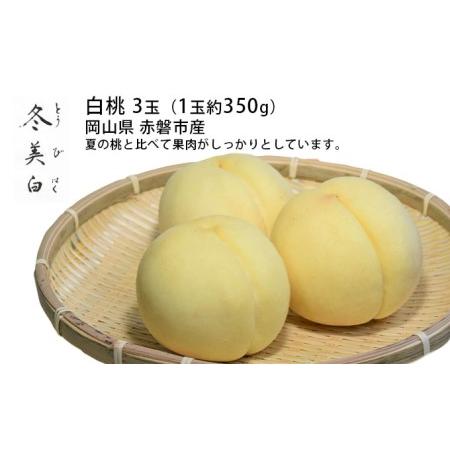 ふるさと納税 桃 2024年 先行予約 白桃 冬美白 とうびはく 3玉 1玉約350g もも モモ 岡山 赤磐市産 国産 フルーツ 果物 ギフト 岡山県赤磐市