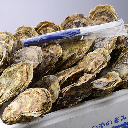 厚岸産 殻かき L 20個セット 北海道 牡蠣 カキ かき 生食