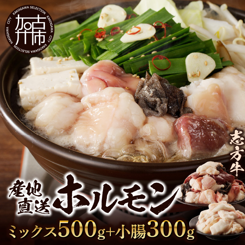 ホルモンミックス500g＋小腸300g