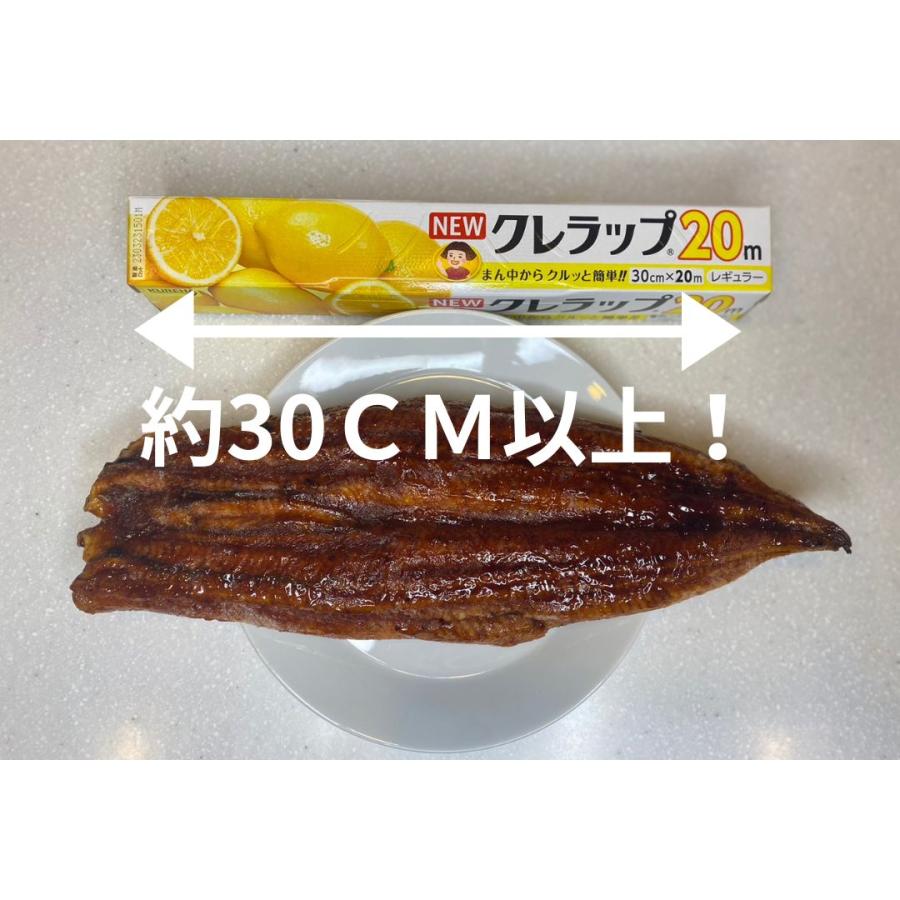 メガサイズ　特大　うなぎ　蒲焼き　約500ｇ　2尾