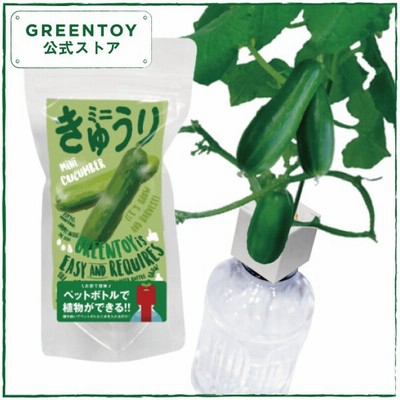 水耕 栽培 野菜の通販 6 370件の検索結果 Lineショッピング