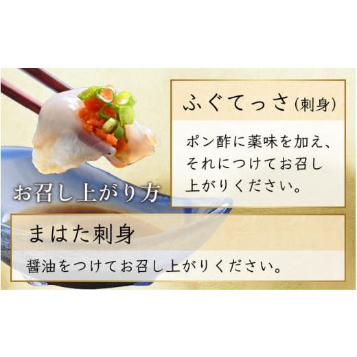 ふるさと納税 福井県 小浜市   「若狭ふぐのてっさ」 と 「若狭まはたのお刺身」 セット 