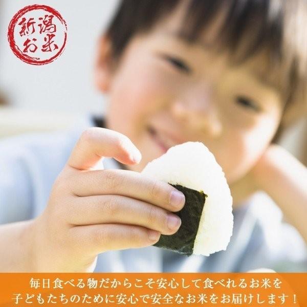 ゆめぴりか 5kg (5kg×1袋 令和5年産 北海道産 送料無料 お米 精白米