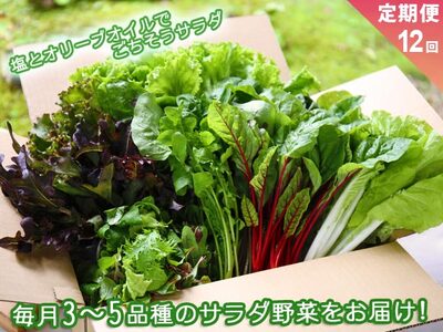 サラダ野菜セット～3～5品種を毎月お届け～