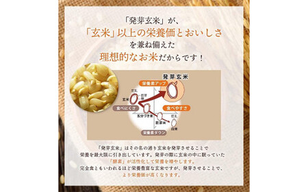 農薬・化学肥料不使用 発芽玄米ごはん 常温パック×18食(125g)