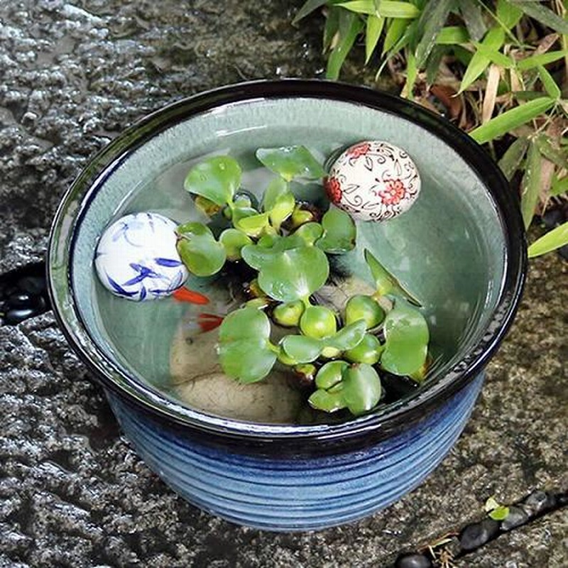 陶器製 水鉢 青緑色と黒のグラデーション