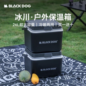 【含稅含運】露營保溫箱戶外野餐食品保鮮便攜式黑化冰箱冷藏箱 快速出貨S