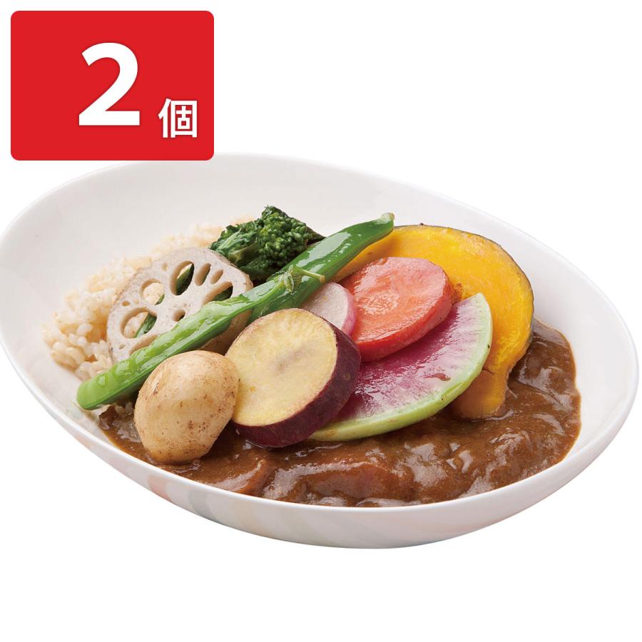 「俺たちの能登」カレー 2個セット カレー 惣菜 野菜カレー 簡単