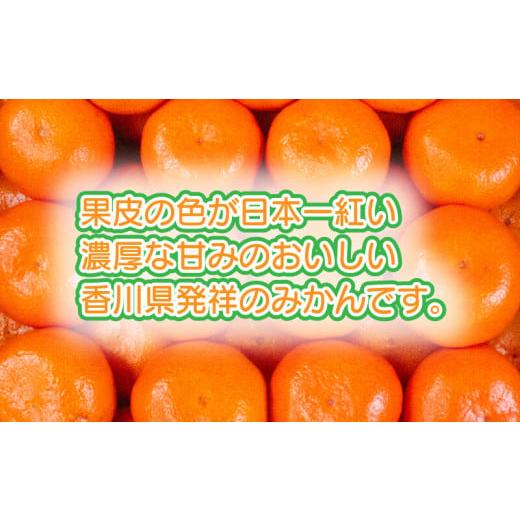 ふるさと納税 香川県 さぬき市 小原紅早生みかん 約5kg 小原紅早生 みかん 国産 さぬき市 ミカン 果物 フルーツ 旬 【みかんジュース みかんゼリ…