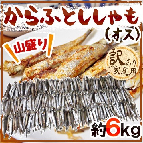 ”カラフトししゃも（オス）” 約6kg 訳あり カラフトシシャモ 樺太ししゃも 送料無料