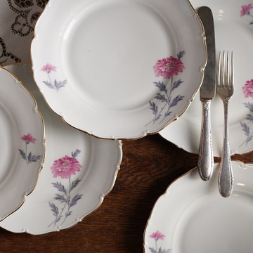 捷克斯洛伐克Haas & Czjzek紅花描金古董盤/餐盤