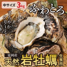 延岡産天然岩牡蠣(生食用)3kg(中)