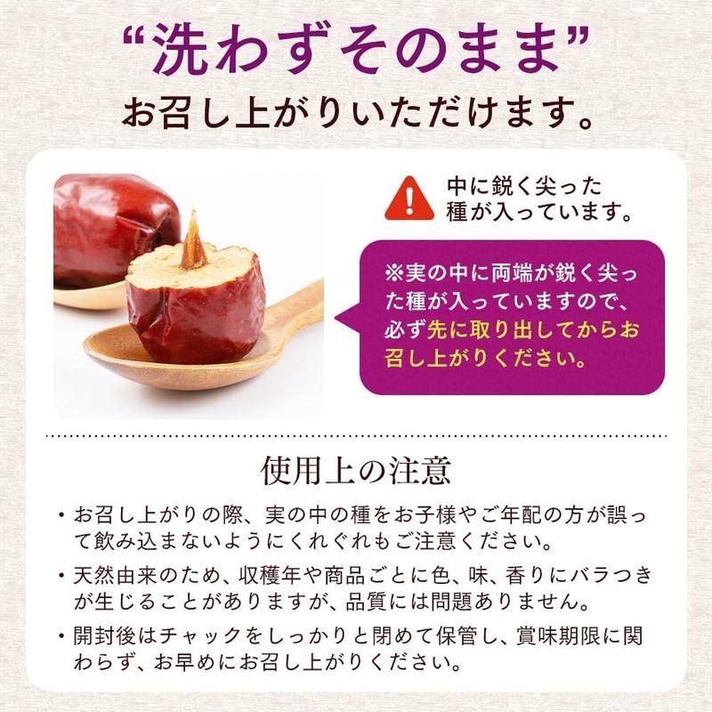 NaTruly（ナトゥリー） 大なつめドライ（種あり） 100g 無添加 無農薬