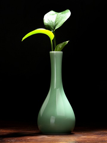 花瓶陶瓷 中式客廳插花擺件 創意簡約花器水培小花瓶瓷器陶瓷擺件