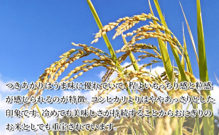 新米 宮城県産つきあかり 精米 白米 10合（一升） 1.5kg