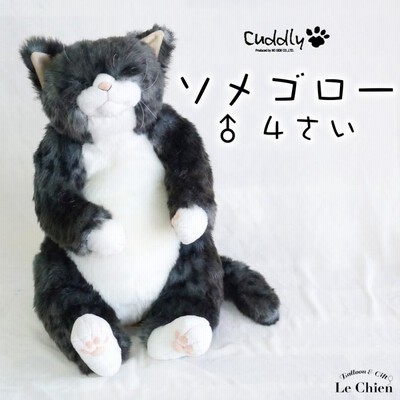 Cuddly わさ美　Wasabi ぬいぐるみ わさ美 Wasabi 猫のぬいぐるみ – Cuddly公式オンラインショップ