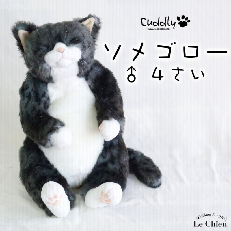 楽天市場】Cuddly(カドリー） ピンカートン 猫 ぬいぐるみ 茶