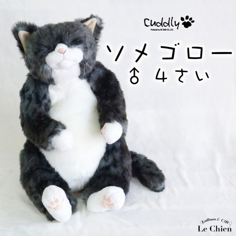 ぬいぐるみ 猫 《わさ美Wasabi》Cuddly(カドリー）こだわりの日本製