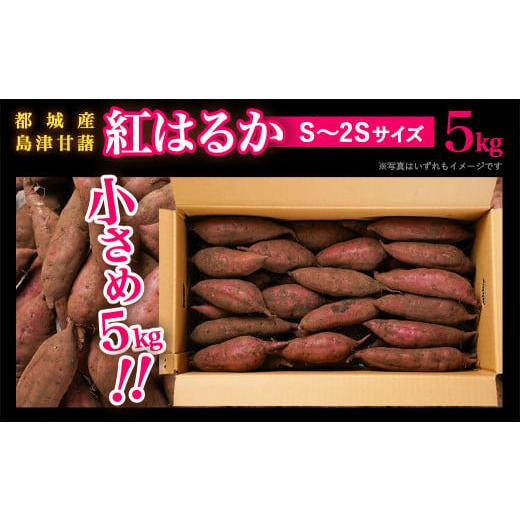 ふるさと納税 宮崎県 都城市 島津甘藷　熟成紅はるか 5kg(S〜2S)_LD-A701-m _(都城市) 幻のサツマイモ 紅はるか 幻の品種 5kg S〜2S ベジエイト