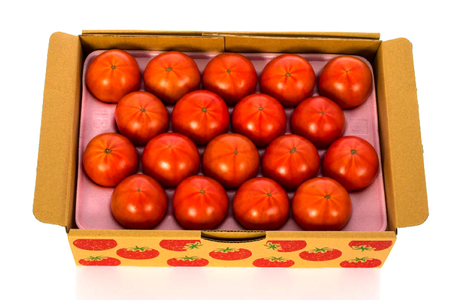 トマト にいな農園SUNすいーと 1.5kg × 1箱 [にいな農園 宮崎県 日向市 452060155] 高糖度 甘い フルーツ トマト 糖度 野菜