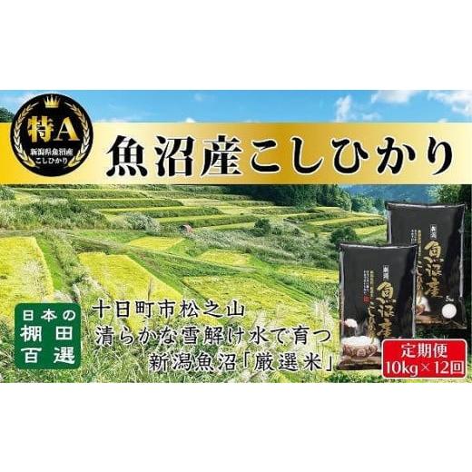 ふるさと納税 新潟県 食味鑑定士が選ぶ　日本棚田百選のお米　天空の里　　魚沼産こしひかり１０kg（5kg ×２）×全１２回