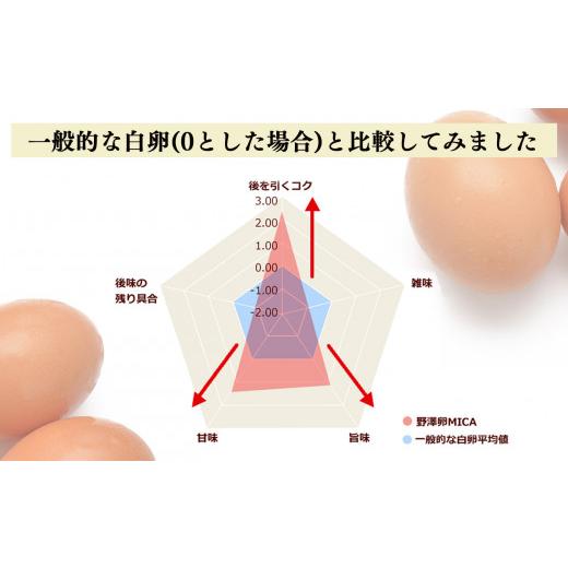 ふるさと納税 奈良県 吉野町 吉野こだわり卵　のざわ卵 32個入り (4コ入×4）×2箱