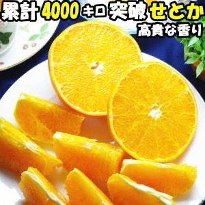 みかん せとか 訳あり 5kg 送料無料 大トロ 高貴な香り 和歌山 有田