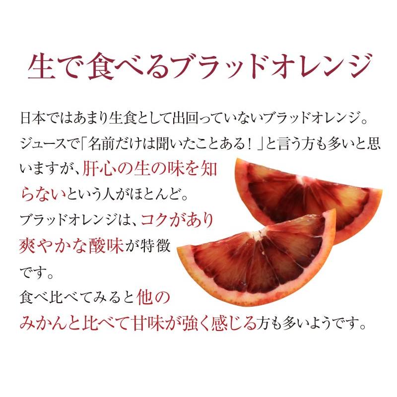 ブラッドオレンジ モロ種 送料無料 国産 熊本 5kg 大小混合 ＜2024年2月下旬より出荷予定＞ みかん 柑橘 フルーツ 果物