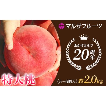 ふるさと納税 ＜2024年先行予約＞特大桃 5〜6個入り 約2.0kg 山梨一宮産の桃 朝採り 産地直送  088-001 山梨県笛吹市